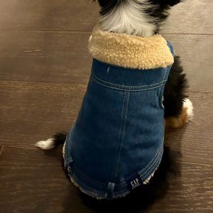 Gap denim shearling dog jacket small